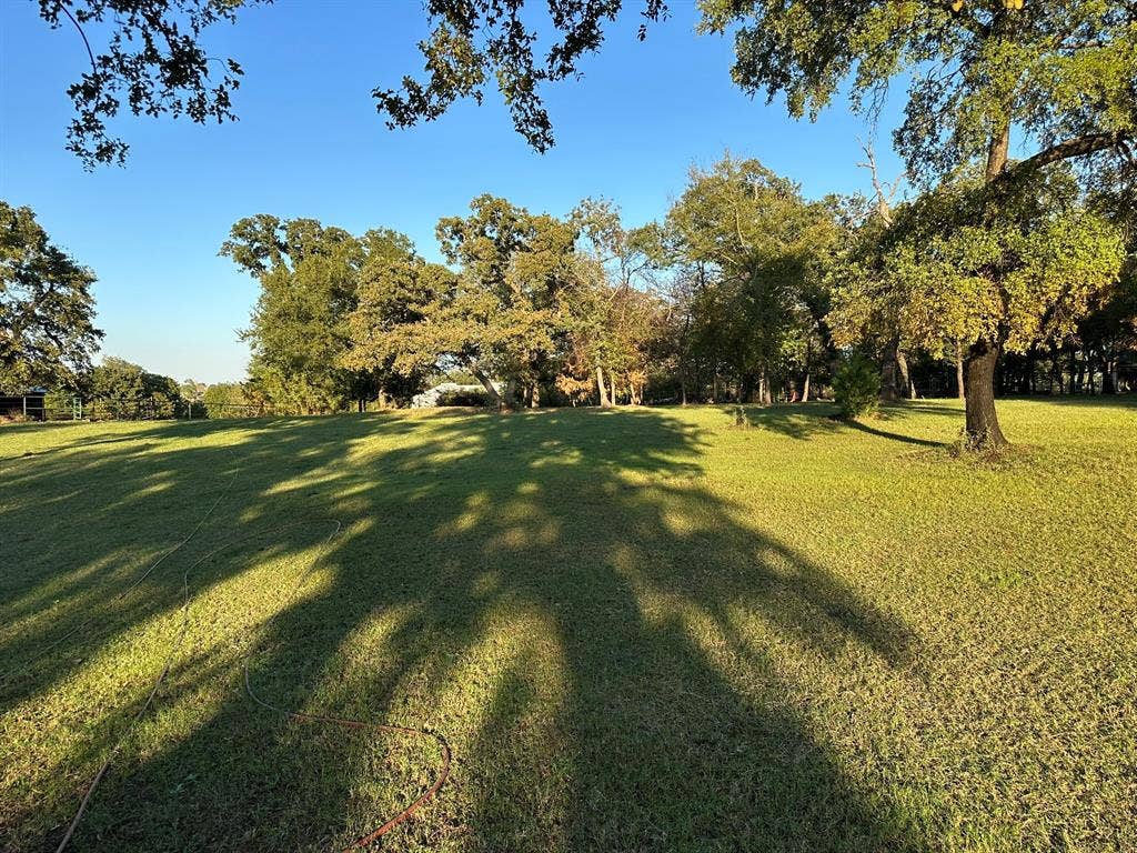 2300 Spring Mountain Road, Cross Roads, TX 76227 Expansive grassy lawn with mature trees and natural landscaping