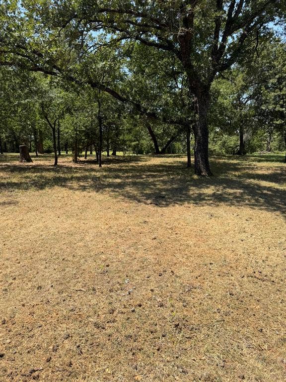 2300 Spring Mountain Road, Cross Roads, TX 76227 Mature trees providing natural shade