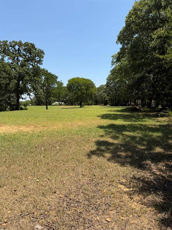 2300 Spring Mountain Road, Cross Roads, TX 76227 Expansive grounds featuring mature shade trees, open lawn areas, and natural tree-lined perimeter
