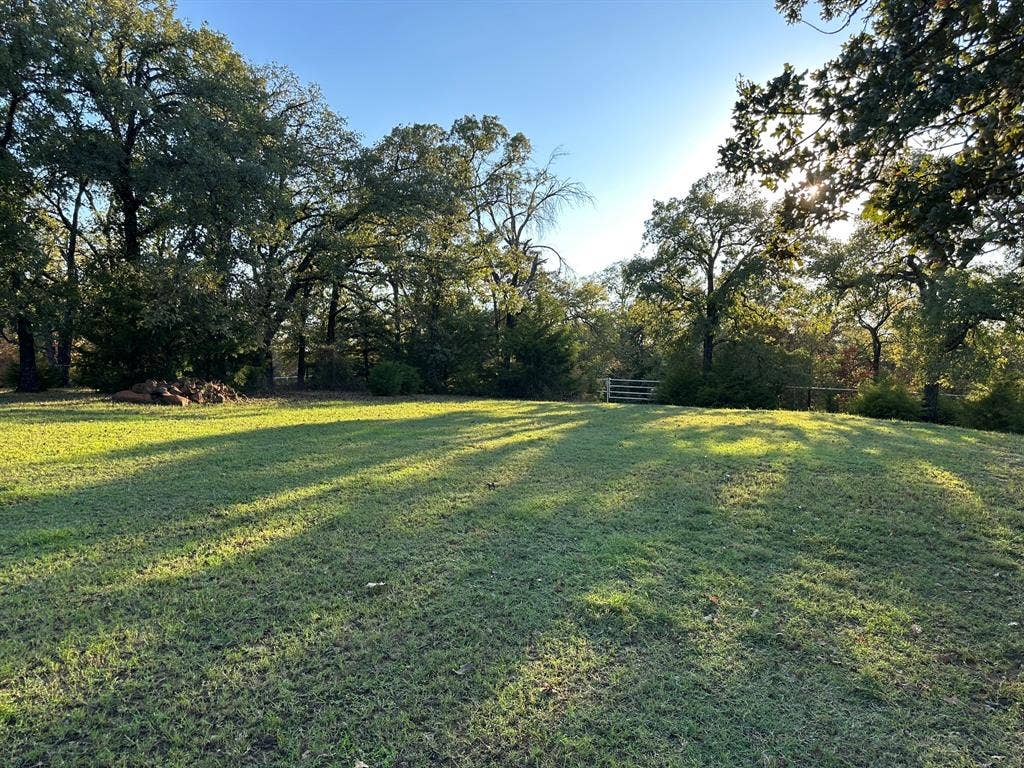 2300 Spring Mountain Road, Cross Roads, TX 76227 Expansive grassy area surrounded by mature trees, featuring a light-colored wooden fence