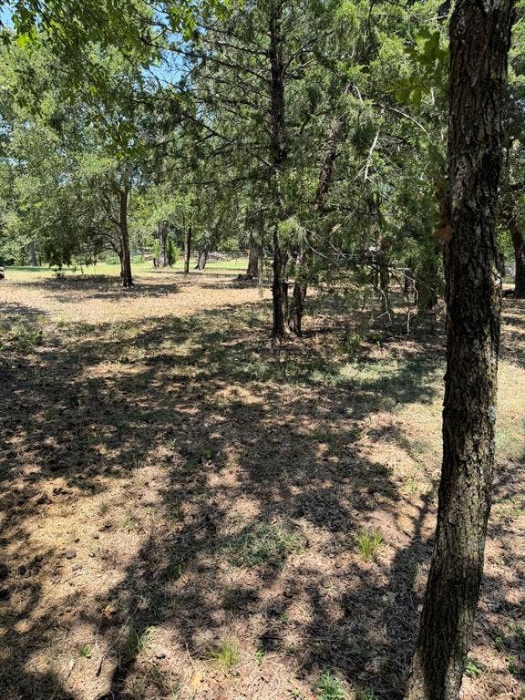 2300 Spring Mountain Road, Cross Roads, TX 76227 Wooded lot with mature trees and natural ground cover