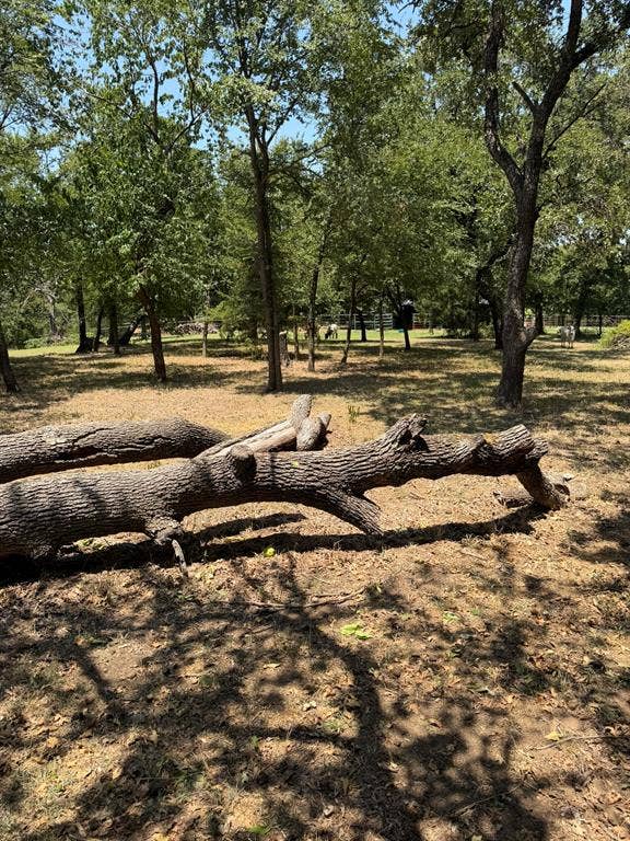 2300 Spring Mountain Road, Cross Roads, TX 76227 Additional content