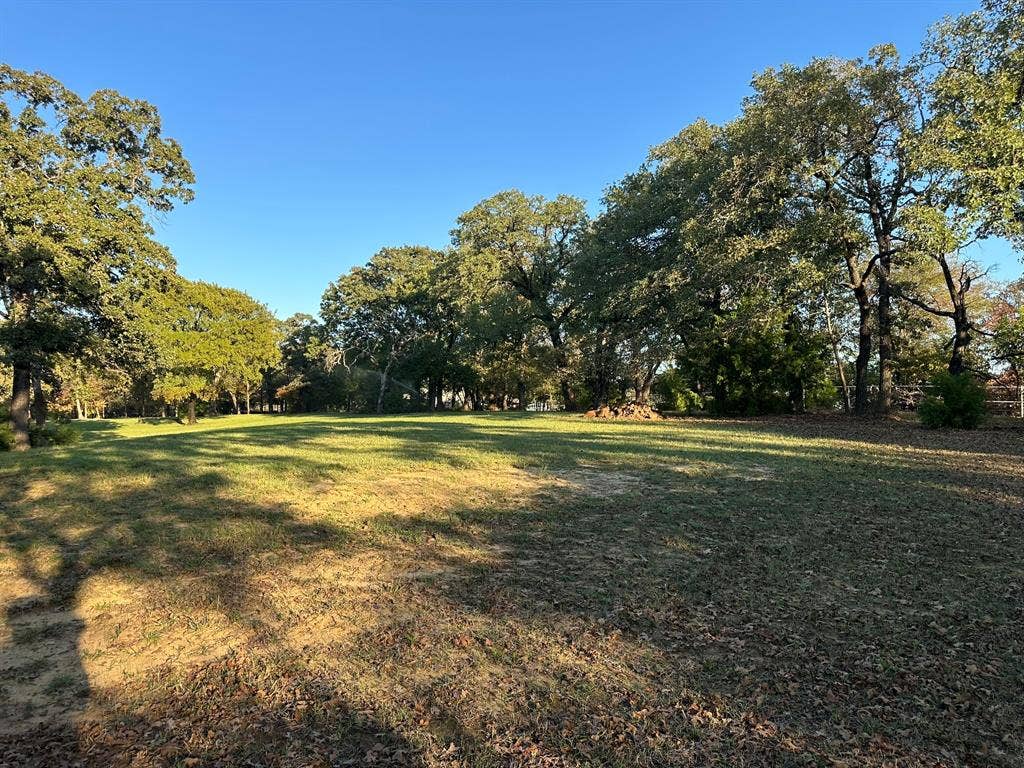 2300 Spring Mountain Road, Cross Roads, TX 76227 Expansive grassy field with a clear blue sky, surrounded by mature trees