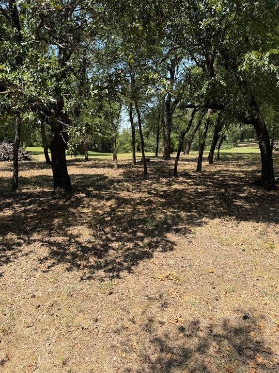 2300 Spring Mountain Road, Cross Roads, TX 76227 Wooded grounds featuring mature trees and dappled sunlight