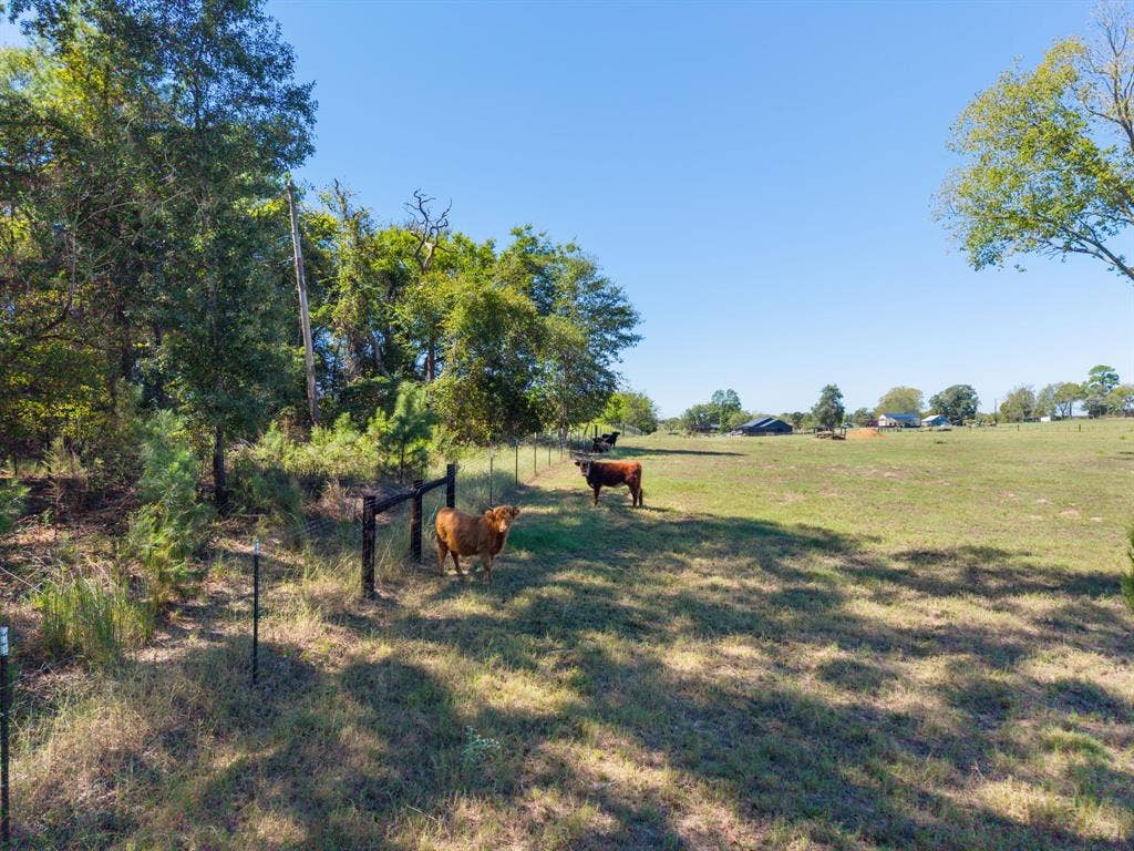 13127 S County Road 246, Arp, TX 75750 13127 S County Road 246, Arp, TX 75750