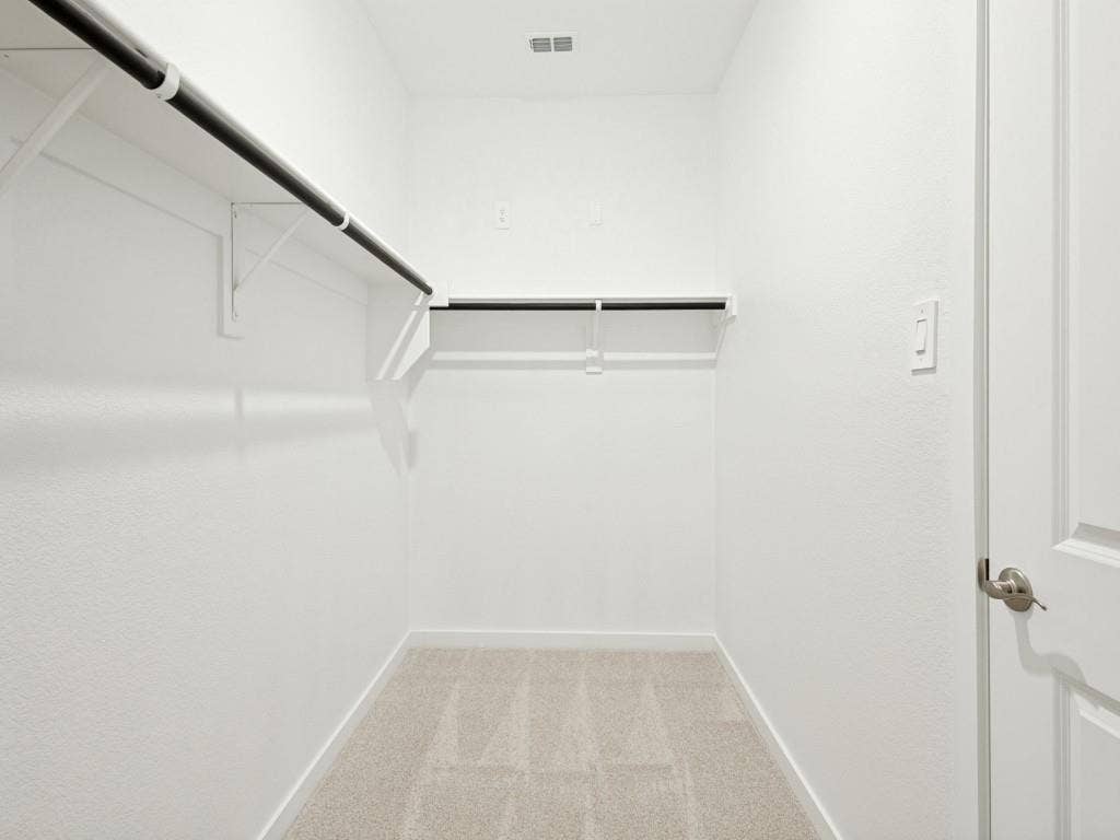 6207 Castamere Drive, Princeton, TX 75071 Primary closet