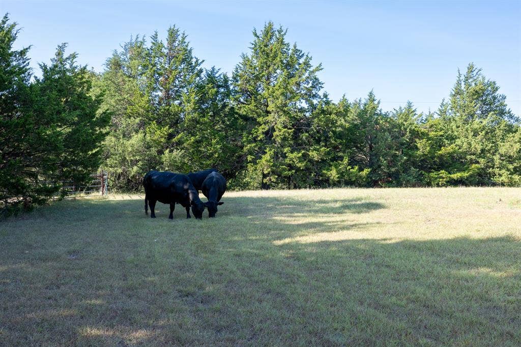 T.B.D. Richards Road, Sadler, TX 76264