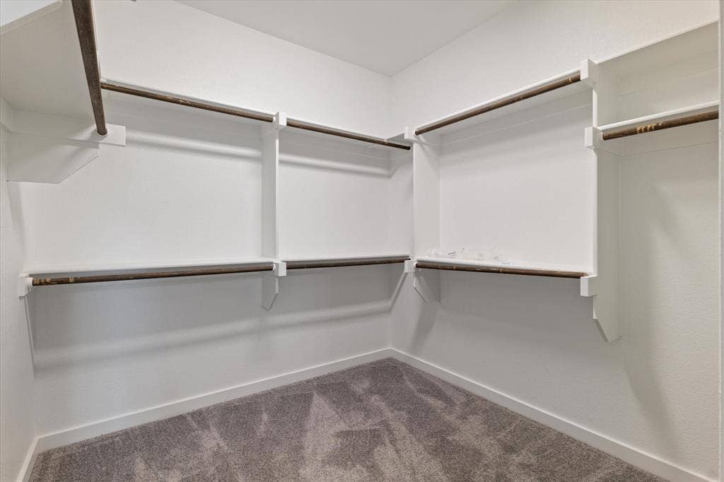 Walk-in closet featuring white built-in shelving, hanging rods, and gray carpet flooring