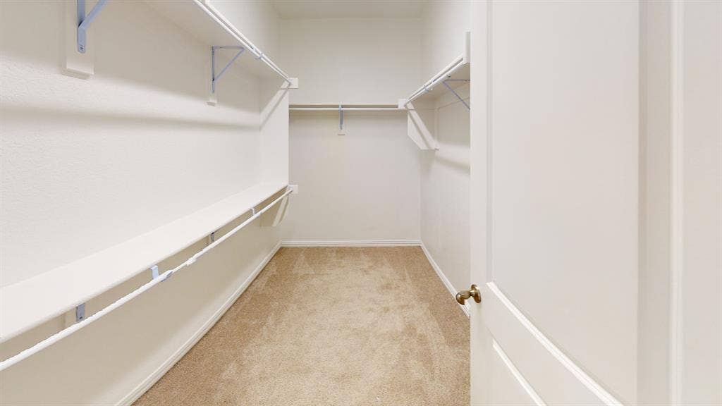 1004 Copper Smith Way, Forney, TX 75126 Walk-in closet featuring light beige carpeting, white walls, multiple shelving units, and clothing rods
