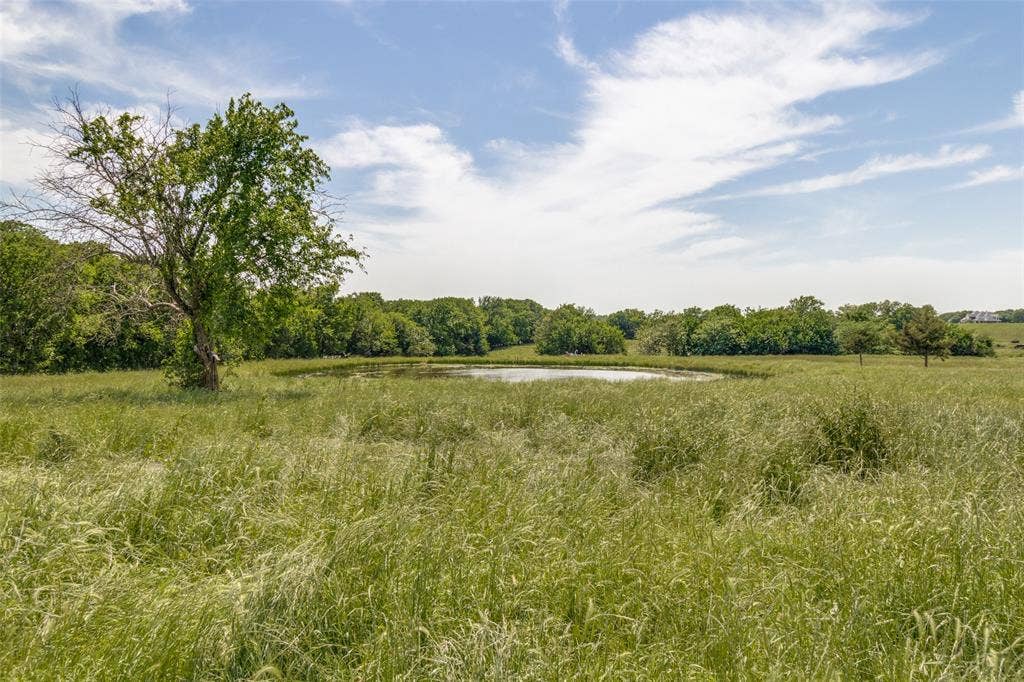 7163 - 2 CR 573, Blue Ridge, TX 75424 7163 - 2 CR 573, Blue Ridge, TX 75424