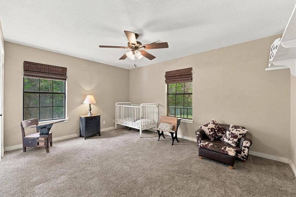 1600 Fox Ridge Road, Lorena, TX 76655 Room featuring neutral wall tones, wall-to-wall carpeting, a central multi-blade ceiling fan with light fixture, and two windows with integrated grid mullions and fabric roll-up shades