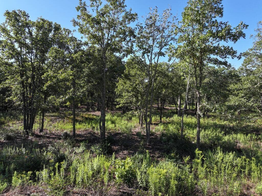 8602 CR 2448, Kemp, TX 75143 8602 CR 2448, Kemp, TX 75143
