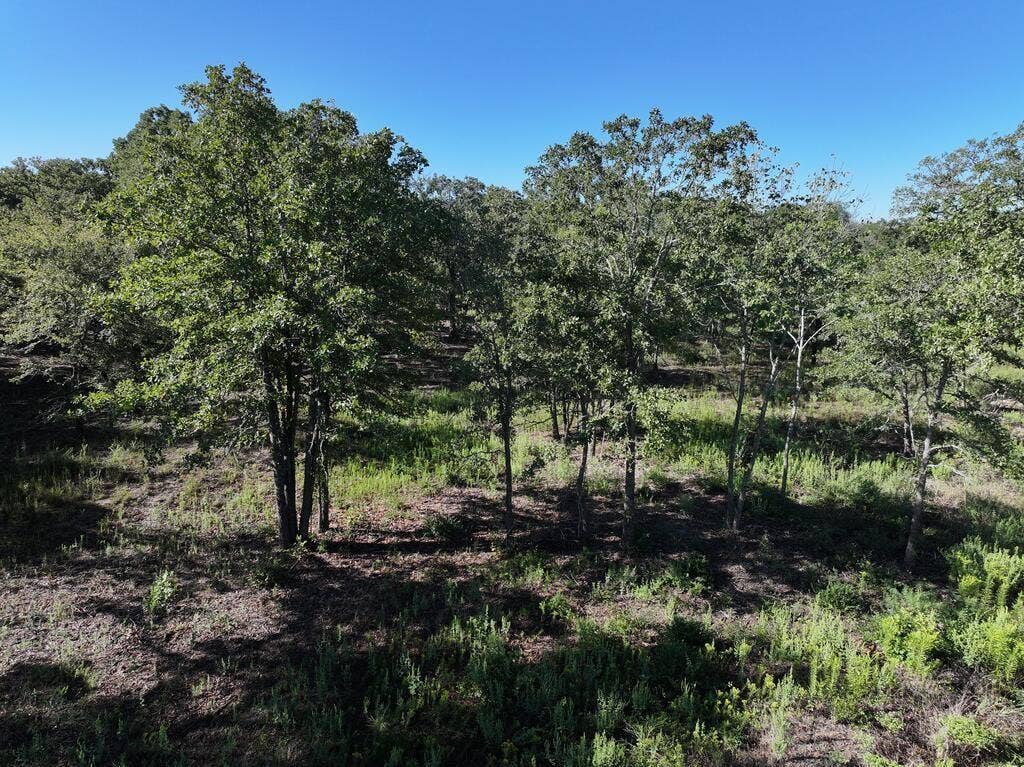 8602 CR 2448, Kemp, TX 75143 8602 CR 2448, Kemp, TX 75143
