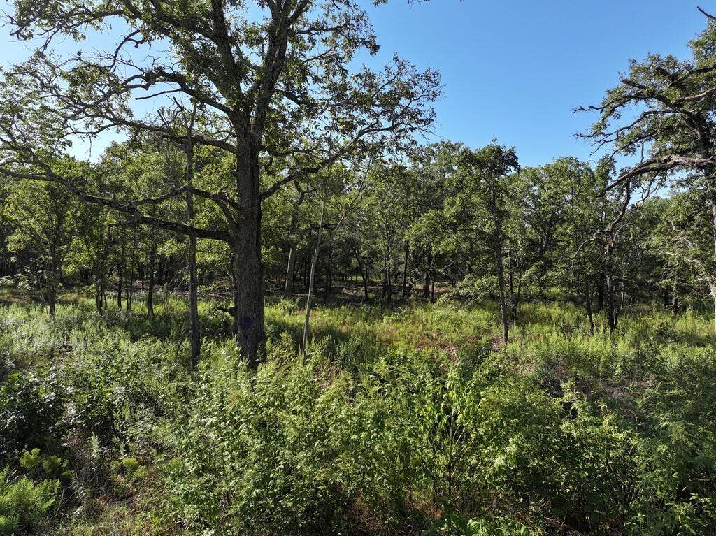 8602 CR 2448, Kemp, TX 75143 8602 CR 2448, Kemp, TX 75143