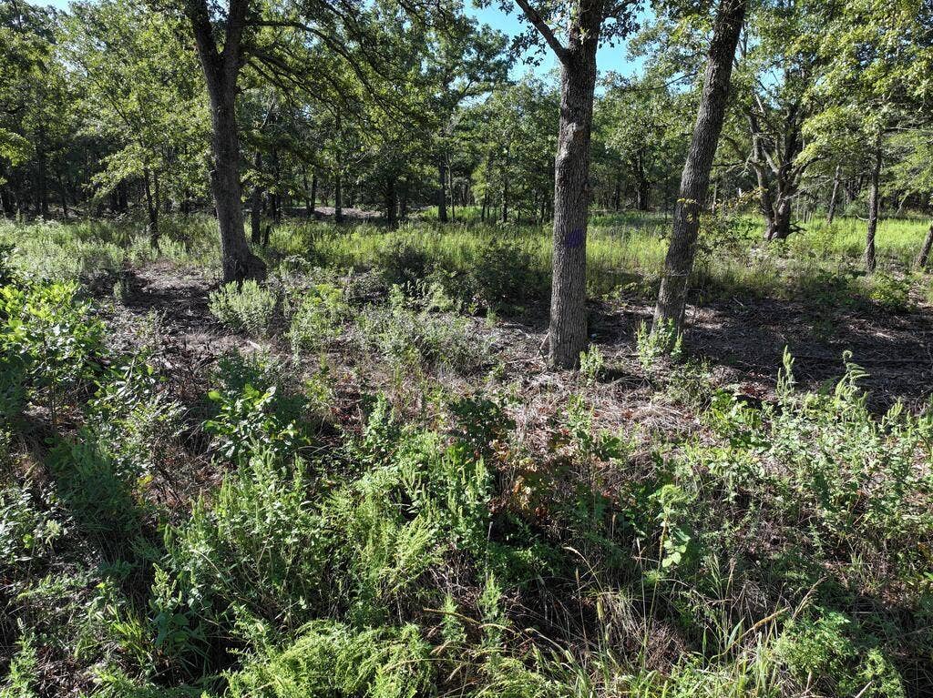 8602 CR 2448, Kemp, TX 75143 8602 CR 2448, Kemp, TX 75143