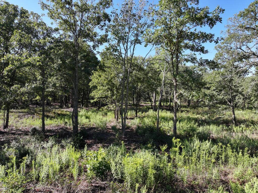 8602 CR 2448, Kemp, TX 75143 8602 CR 2448, Kemp, TX 75143
