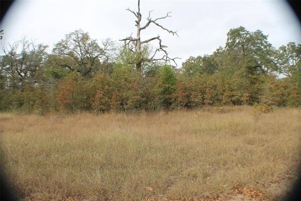 26 Boca Chica, Malakoff, TX 75148 26 Boca Chica, Malakoff, TX 75148