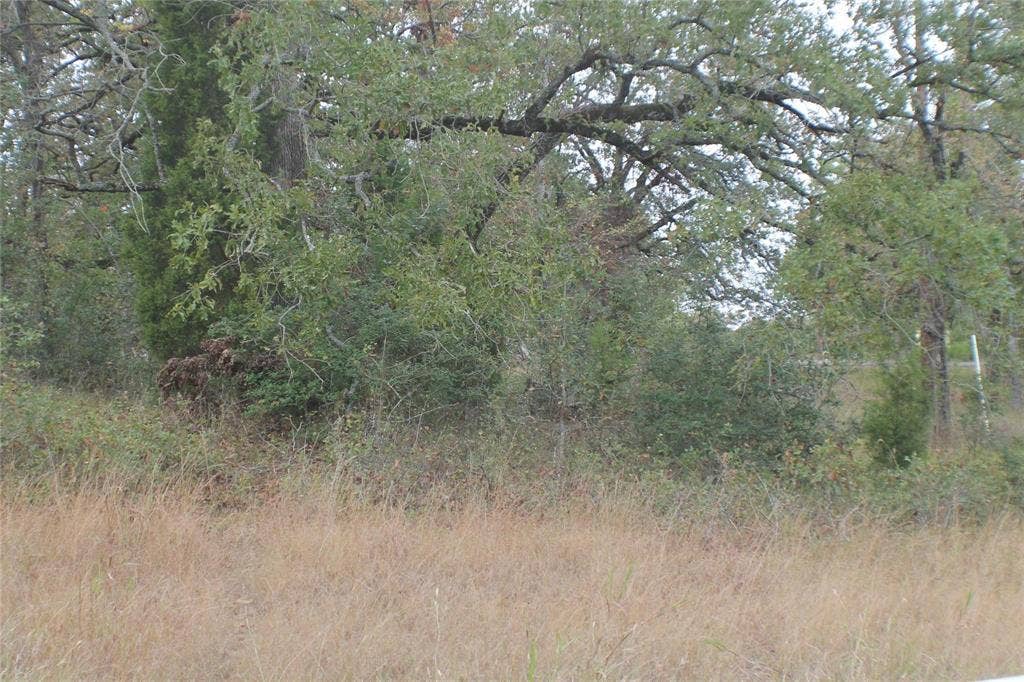 355 Buena Vista, Malakoff, TX 75148 355 Buena Vista, Malakoff, TX 75148
