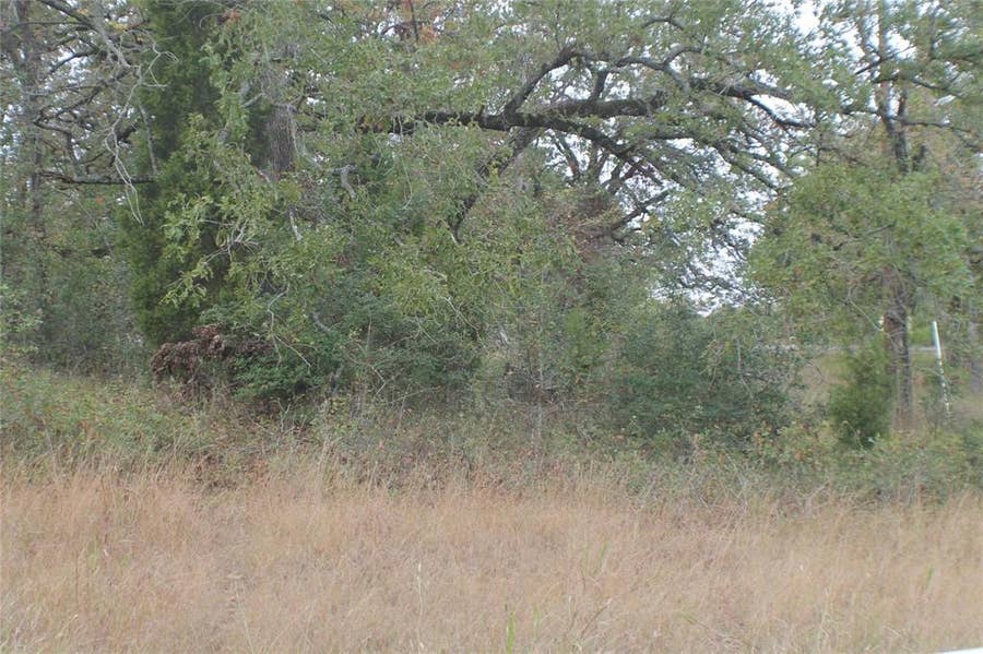 Property photo for 355 Buena Vista, Malakoff, TX