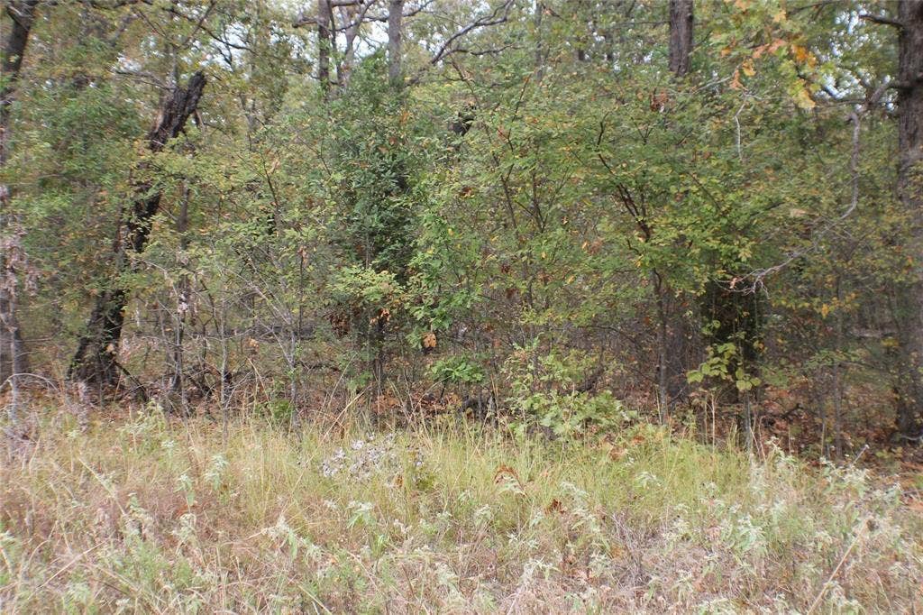 355 Buena Vista, Malakoff, TX 75148 355 Buena Vista, Malakoff, TX 75148