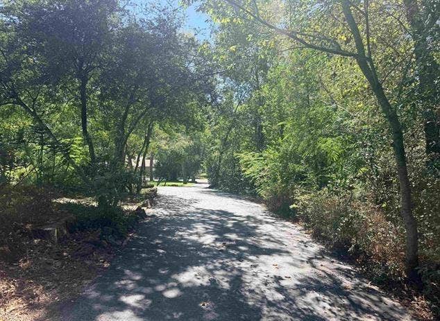 1205 Lake Cross Road, Hideaway, TX 75771 1205 Lake Cross Road, Hideaway, TX 75771