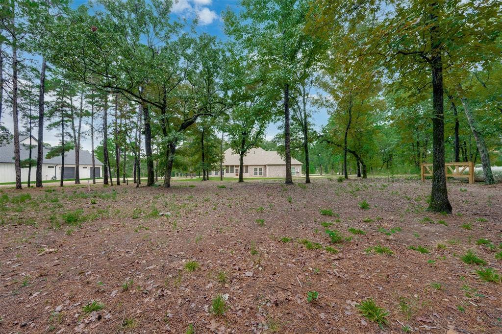 3113 Shadow Pine Drive, Larue, TX 75770 3113 Shadow Pine Drive, Larue, TX 75770