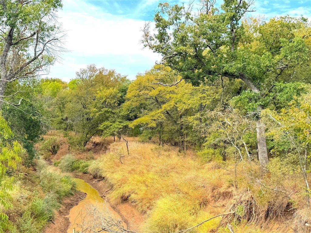 TBD Tx-148, Jacksboro, TX 76458