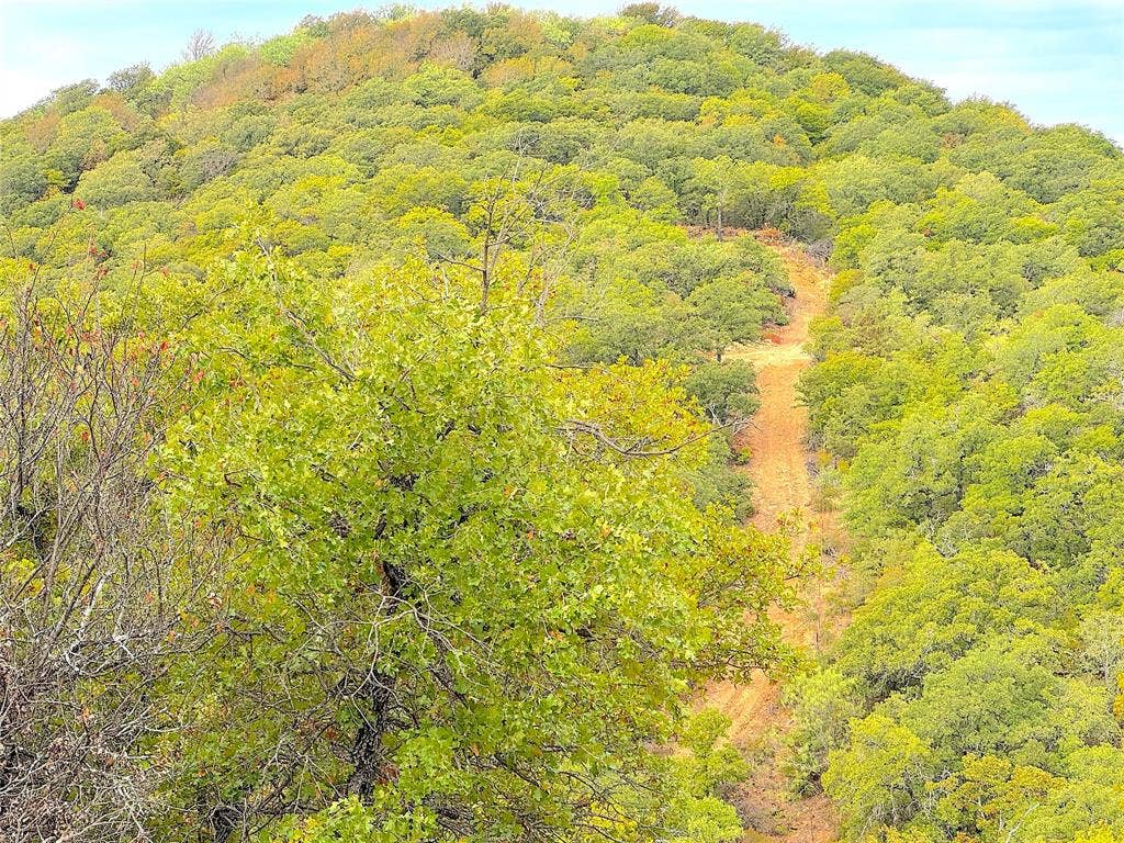 TBD Tx-148, Jacksboro, TX 76458