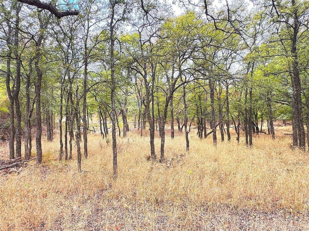 TBD Tx-148, Jacksboro, TX 76458