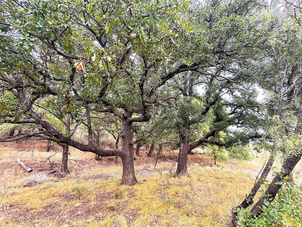 TBD Tx-148, Jacksboro, TX 76458