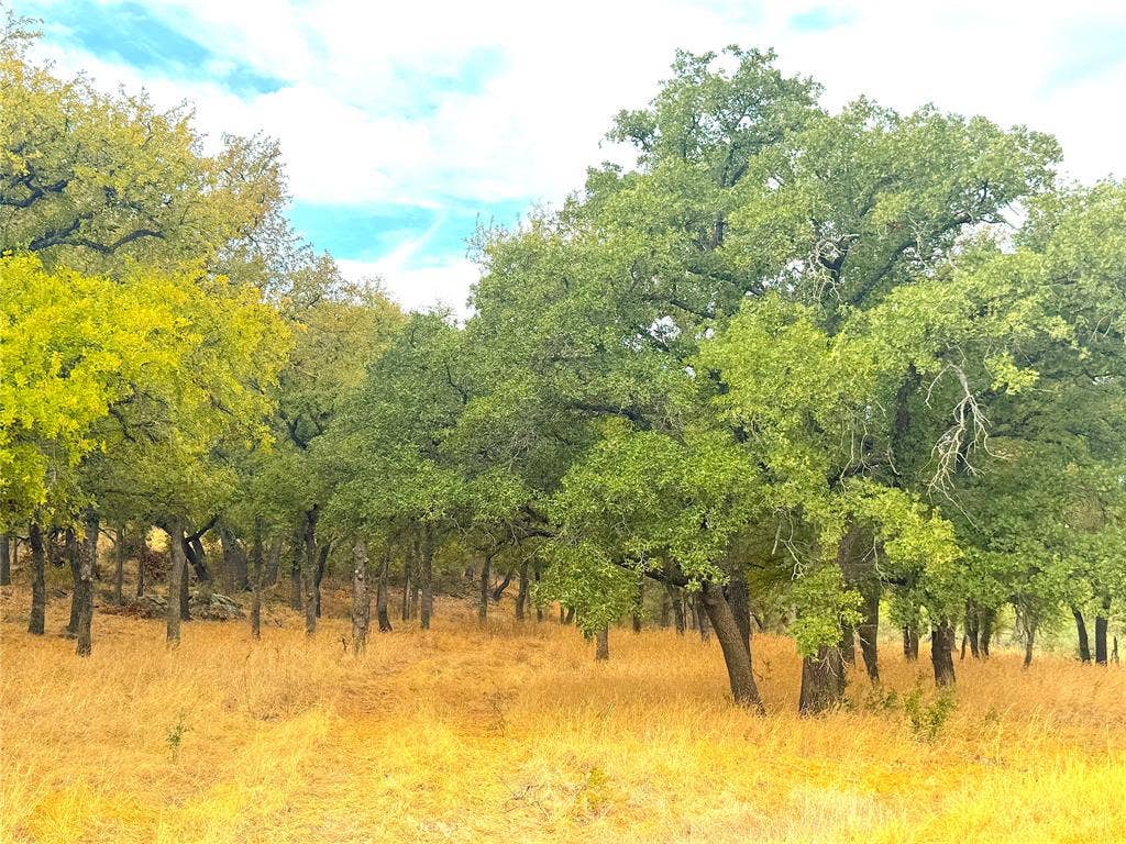 TBD Tx-148, Jacksboro, TX 76458