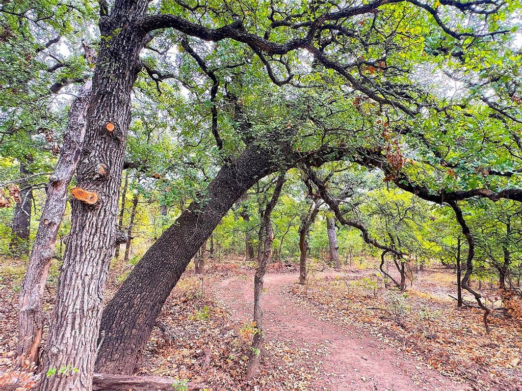 TBD Tx-148, Jacksboro, TX 76458