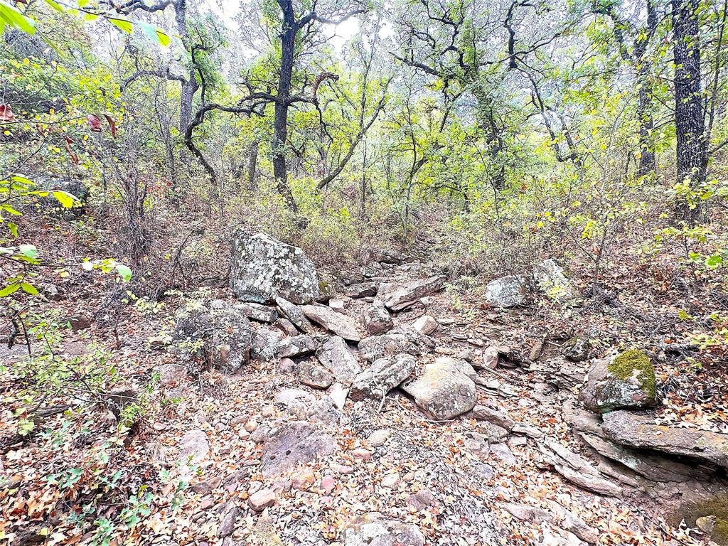 TBD Tx-148, Jacksboro, TX 76458