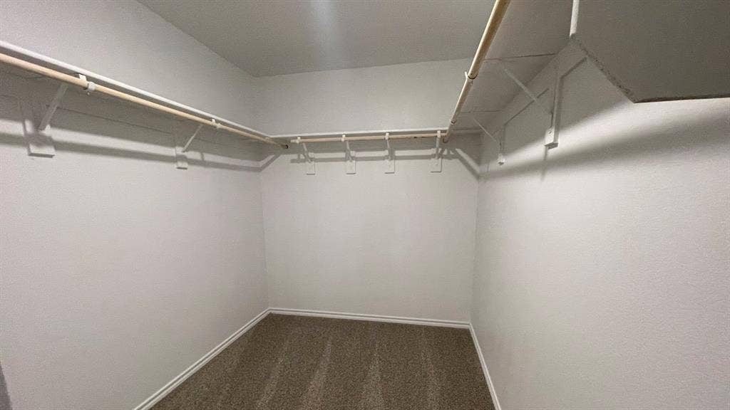 409 White Willow Drive, Nevada, TX 75173 Walk-in closet with built-in shelving, hanging rods, and carpet flooring