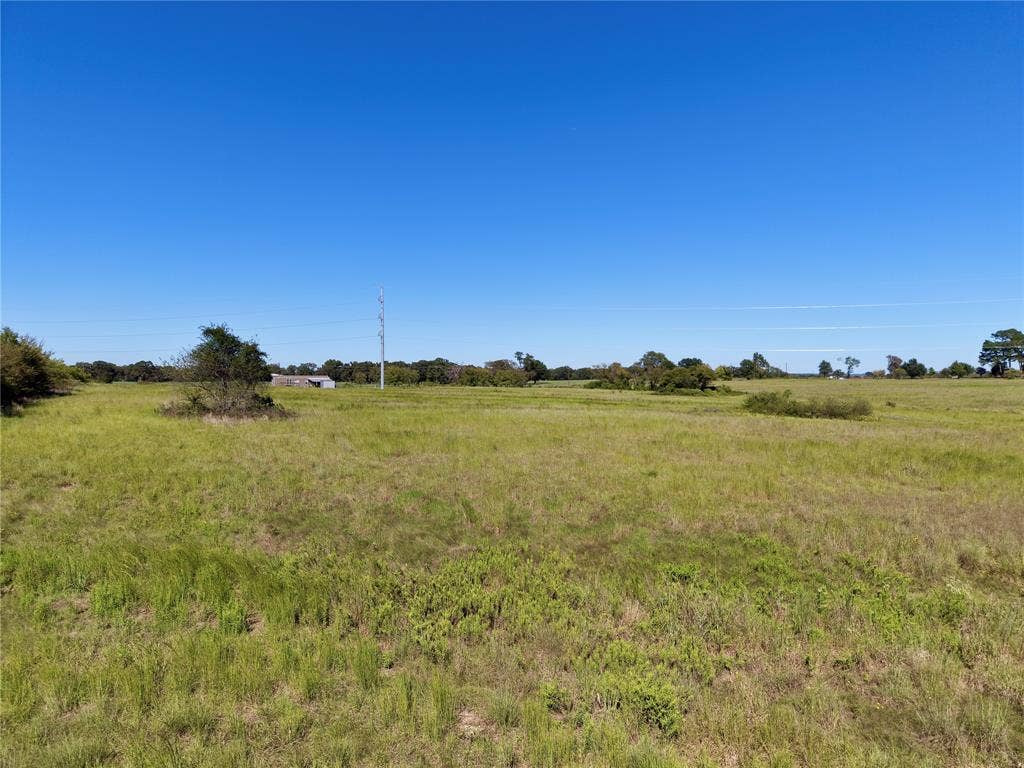 0 Goodell Lane, Eustace, TX 75124 Open pasture with trees along the natural edges.