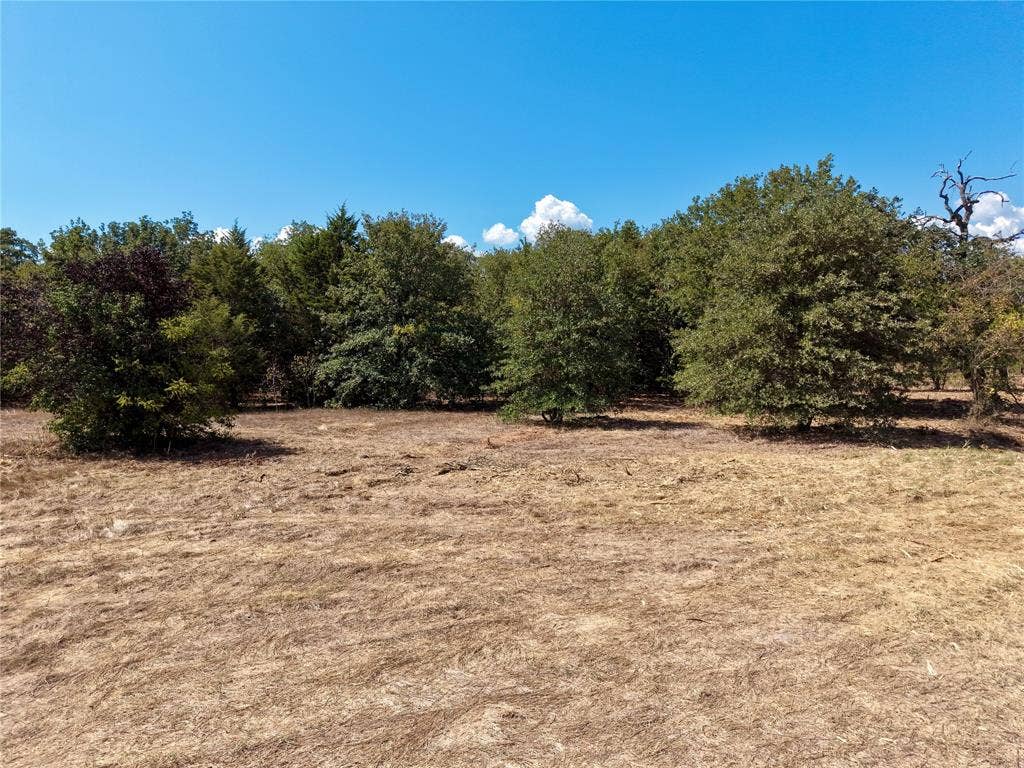 0 Allen Ranch Road, #Lots 68 & 69, Eustace, TX 75124 Scattered Trees