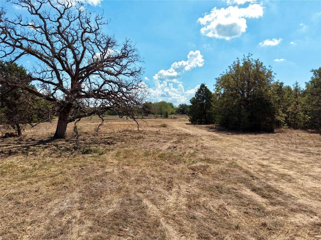 0 Allen Ranch Road, #Lots 68 & 69, Eustace, TX 75124 Interior Tree and Open Ground