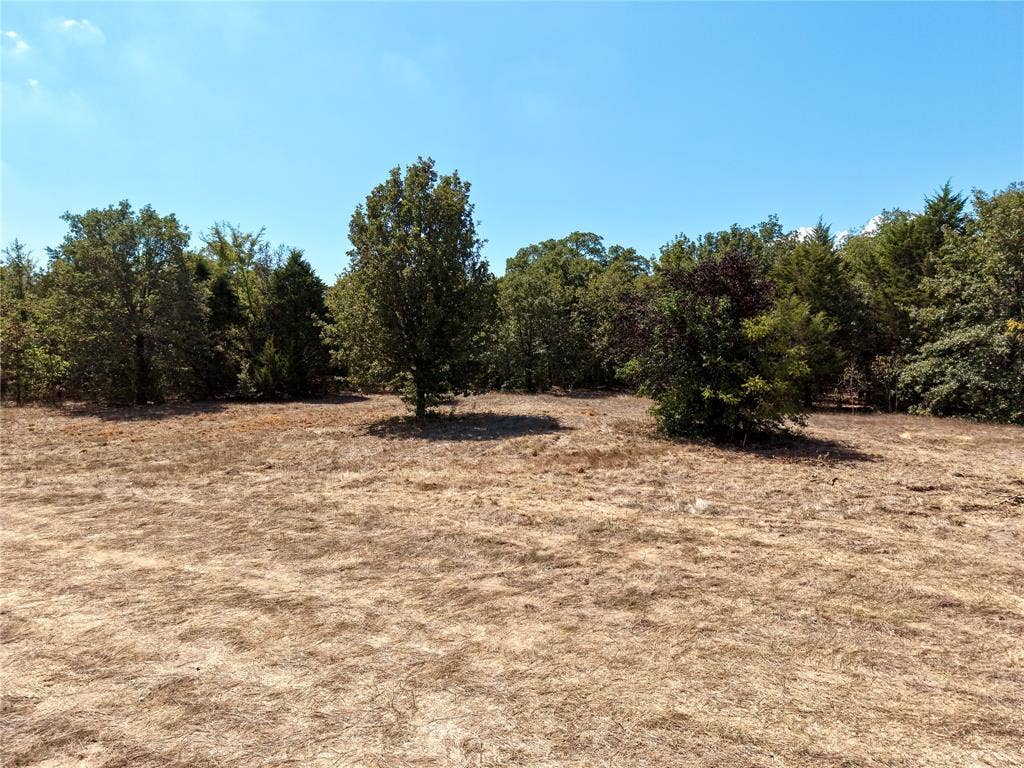 0 Allen Ranch Road, #Lots 68 & 69, Eustace, TX 75124 Open Ground and Tree Line