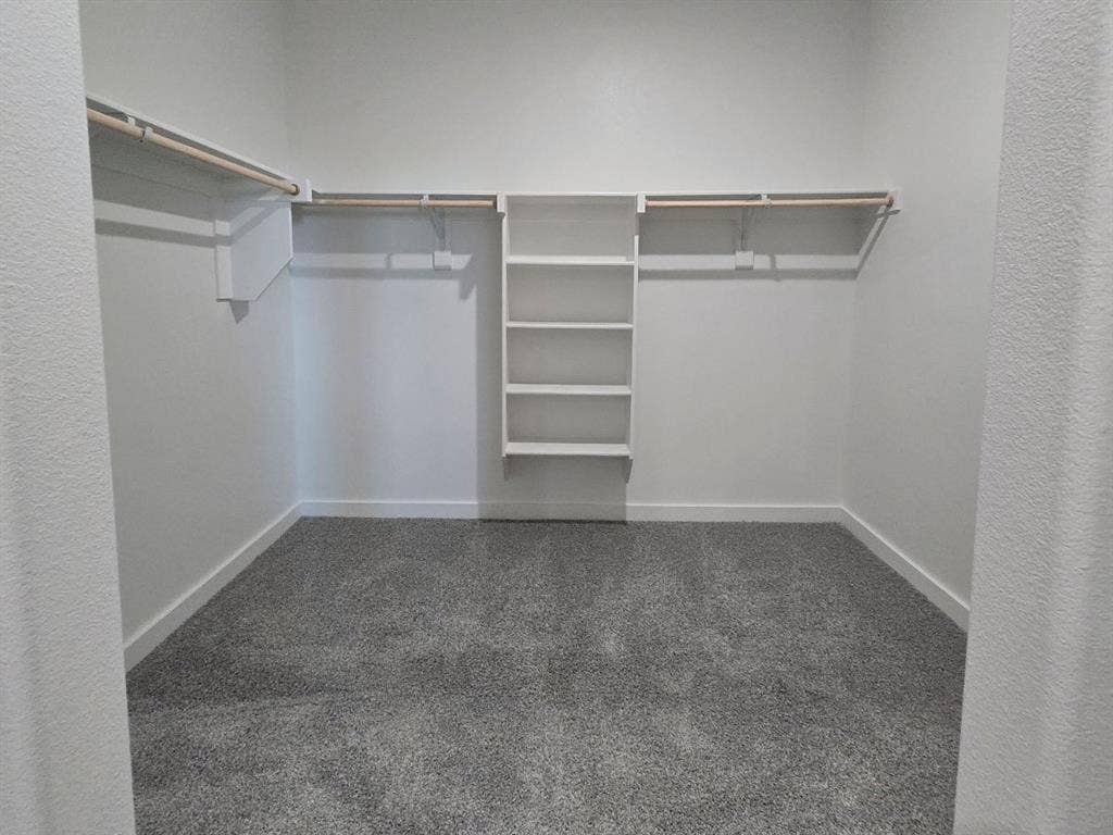 841 Rockcloud Drive, Fort Worth, TX 76052 Walk-in closet featuring built-in shelving, dual hanging rods, and gray carpet flooring