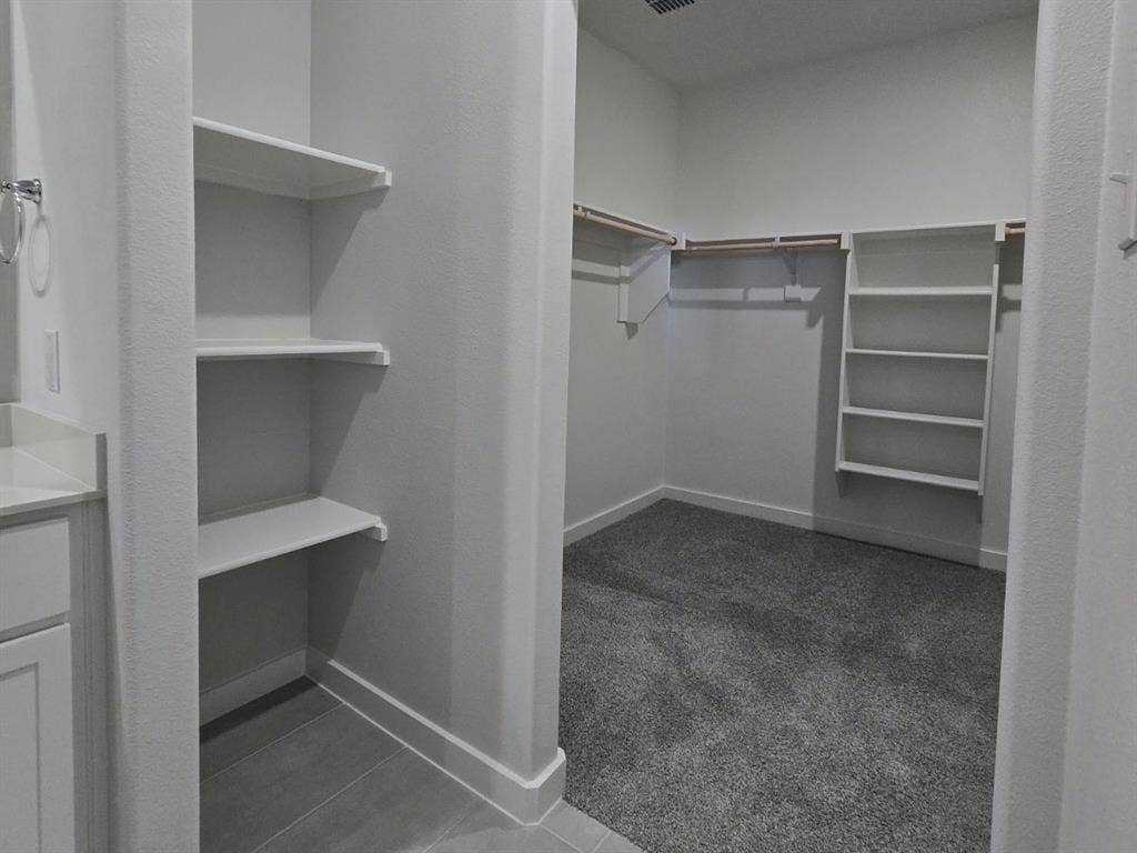 841 Rockcloud Drive, Fort Worth, TX 76052 Walk-in closet with carpet flooring, built-in shelving, and clothes hanging rods