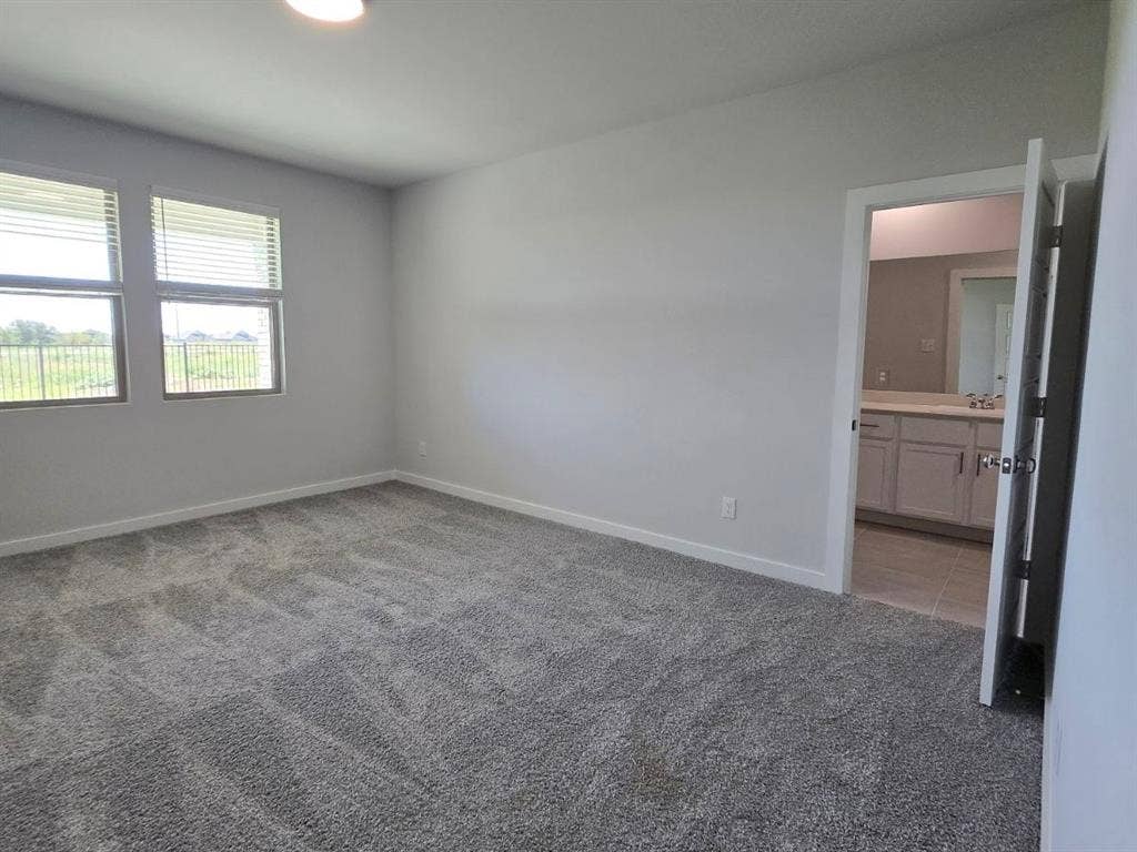 841 Rockcloud Drive, Fort Worth, TX 76052 Plush gray carpeting, two large windows, a flush-mount ceiling light, and access to a bathroom featuring a vanity with a light-colored countertop