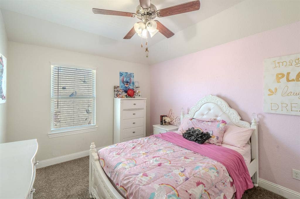 10808 Blaze Street, Aubrey, TX 76227