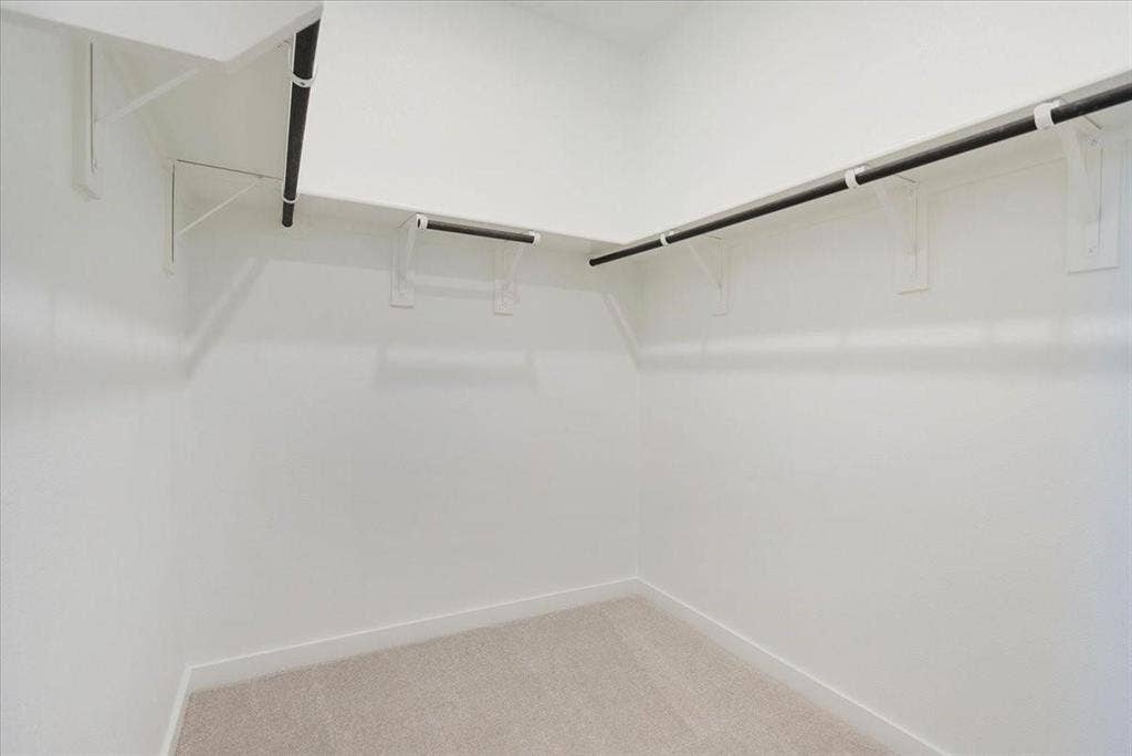 Walk-in closet with carpet flooring, white walls, and built-in shelving with hanging rods