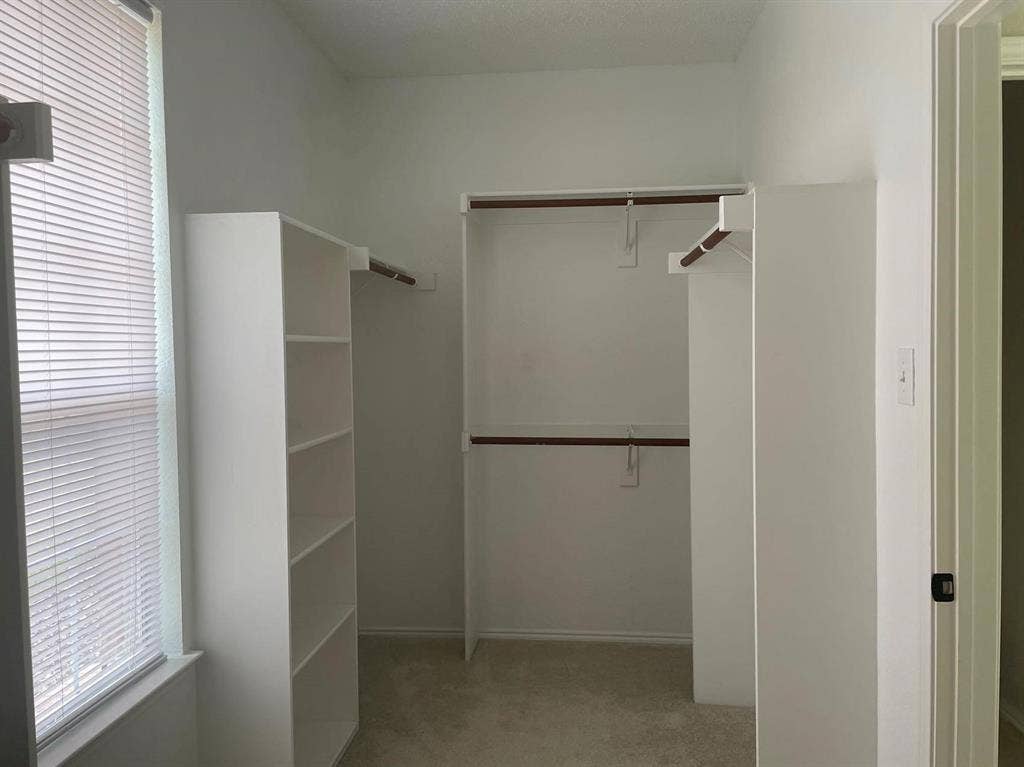 Walk-in closet featuring white built-in shelving, dual-tier hanging rods, and neutral carpeting