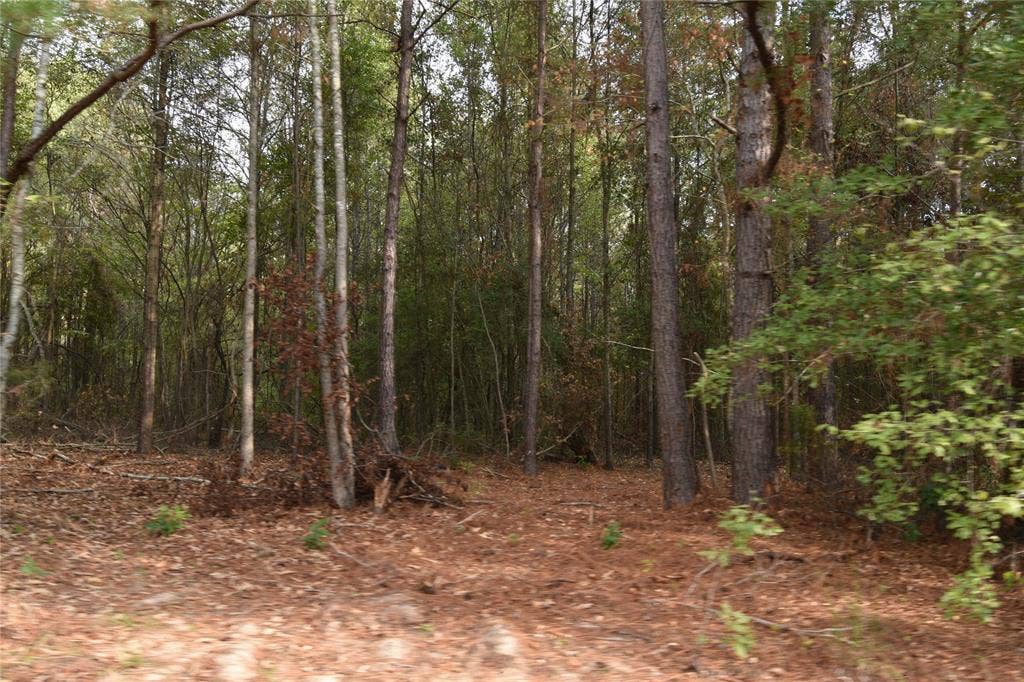 0 Cleary Road, Keithville, LA 71047 0 Cleary Road, Keithville, LA 71047