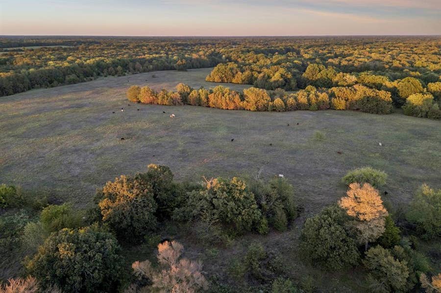 Property photo for TBD RS County Road 4310, Point, TX