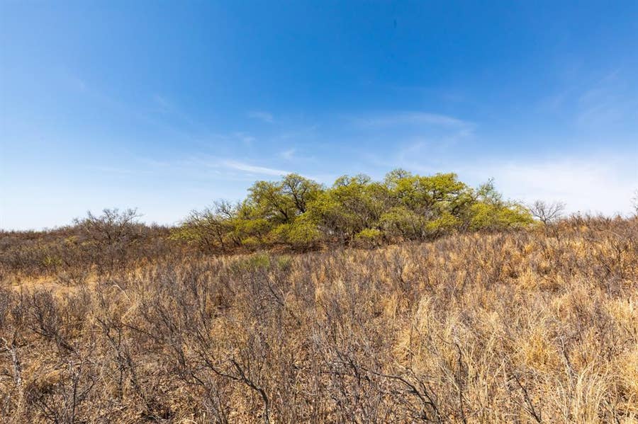 Property photo for TBD CR 238, Post, TX
