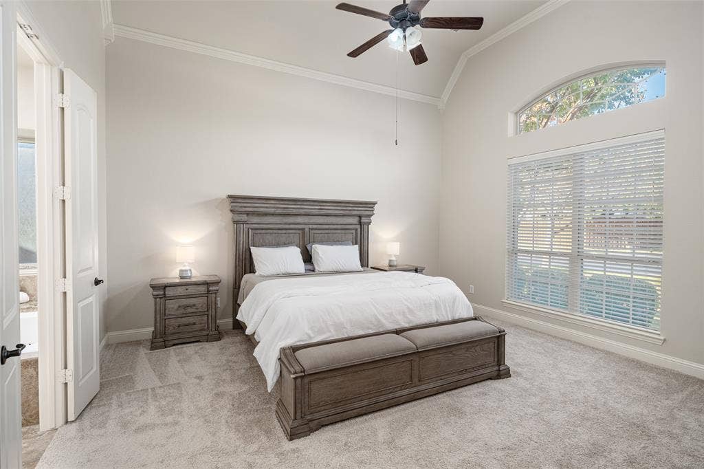 Vaulted ceiling with crown molding, ceiling fan, arched transom window, large window with blinds, and light-toned carpeting
