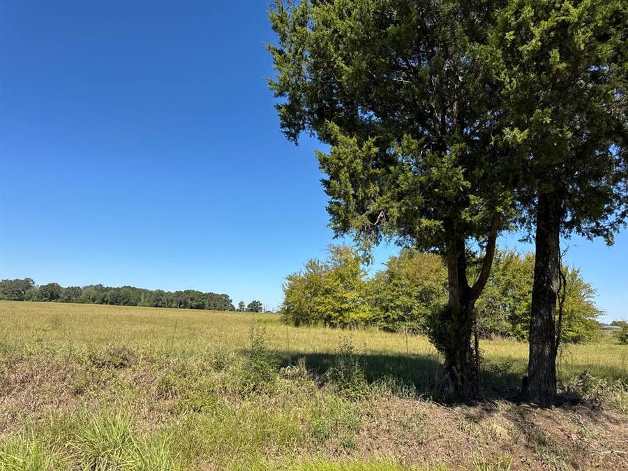 Property photo for Lot 8 County Road 2922, Eustace, TX