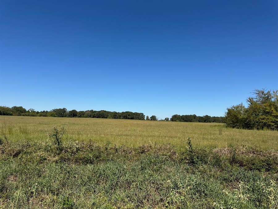 Property photo for Lot 9 County Road 2922, Eustace, TX